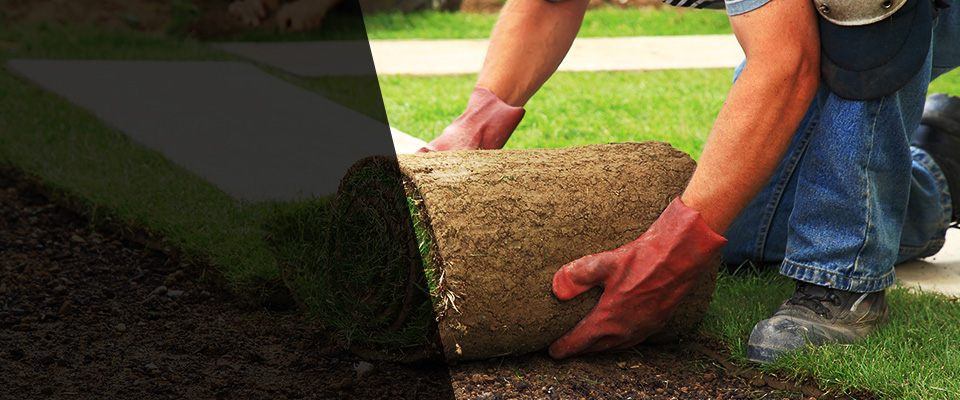 West Yarmouth Landscapers